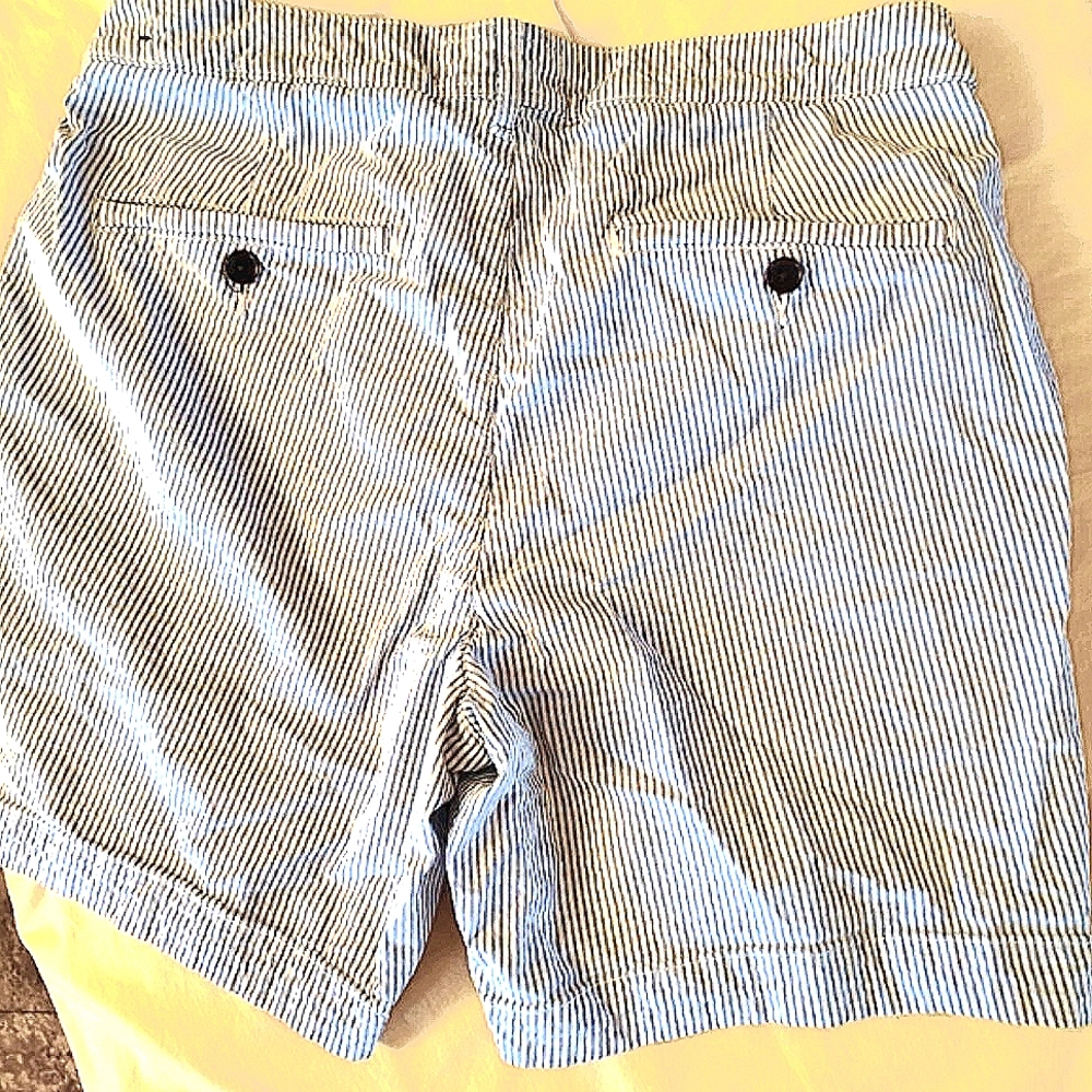 Abercrombie & Fitch Blue and White Flat Front Shorts Size 31